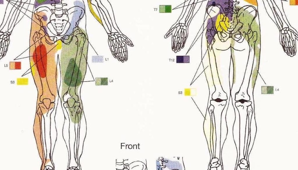 Coccyx Subluxation – Back To Life Chiropractic