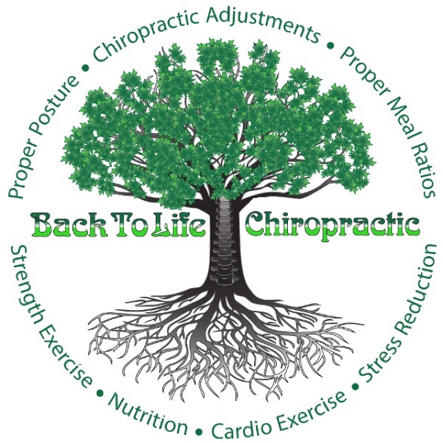 Back To Life Chiropractic – Back To Life Chiropractic